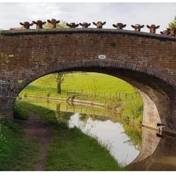 Posh💕 - Picture 12 of 16